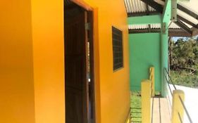 The Orange House